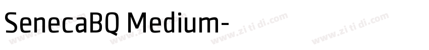 SenecaBQ Medium字体转换